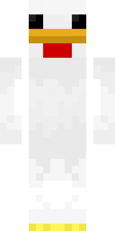 BODY