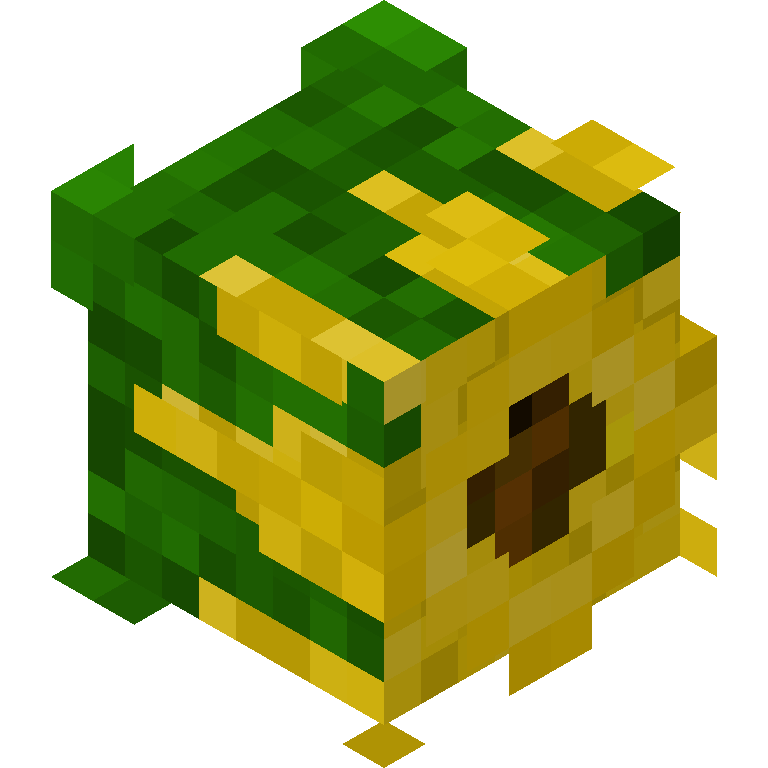 HEAD_ISO