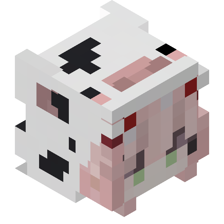 HEAD_ISO