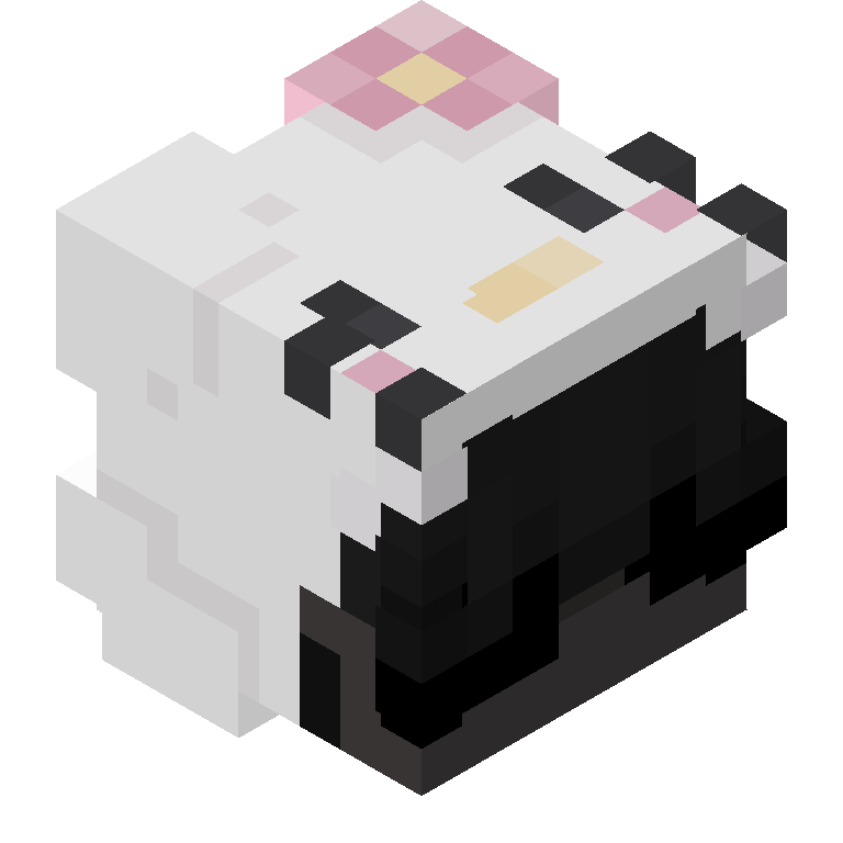HEAD_ISO