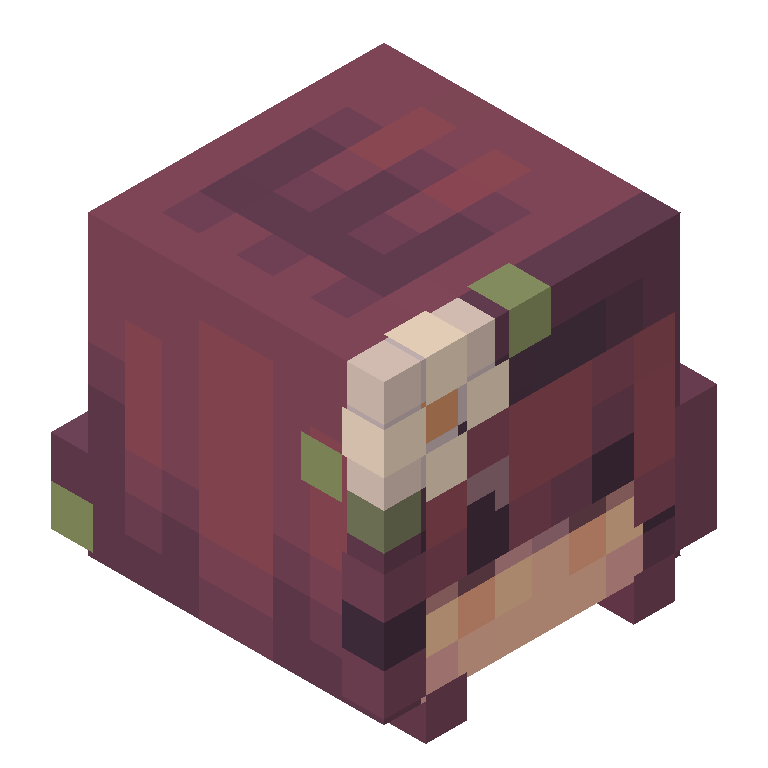 HEAD_ISO