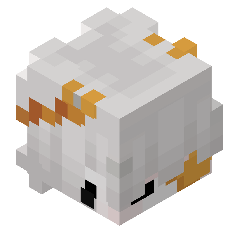 HEAD_ISO