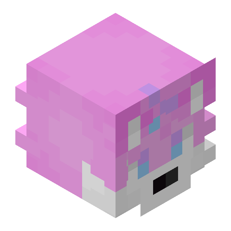 HEAD_ISO