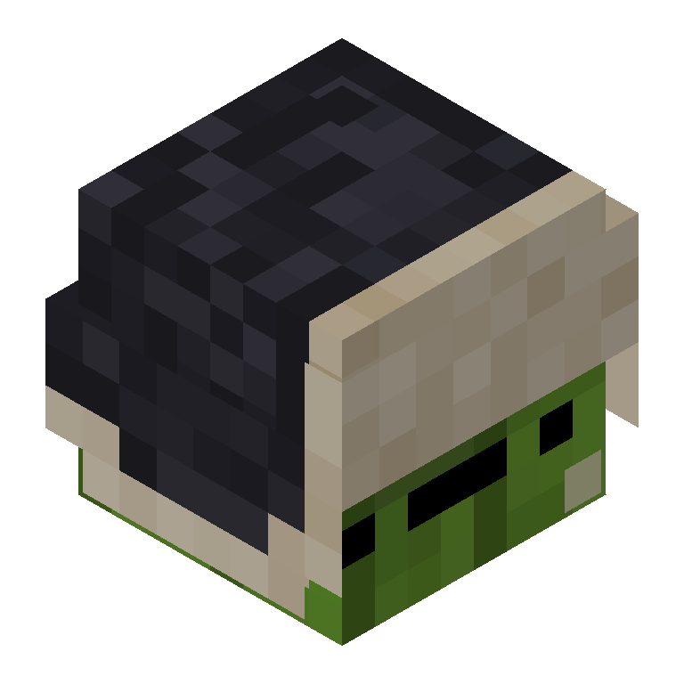 HEAD_ISO