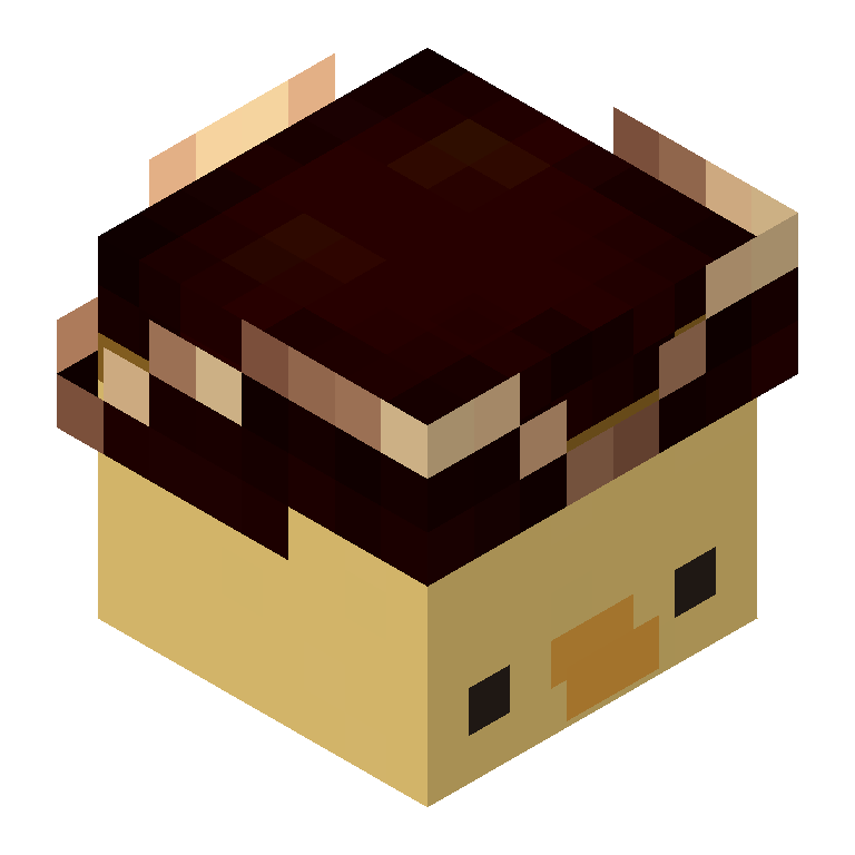 HEAD_ISO