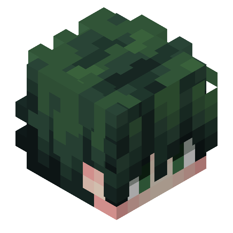 HEAD_ISO