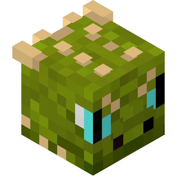 HEAD_ISO