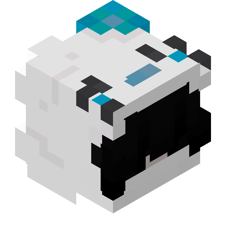 HEAD_ISO