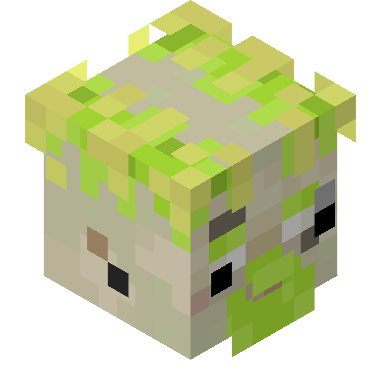 HEAD_ISO