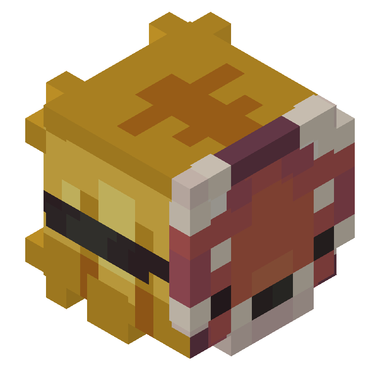 HEAD_ISO