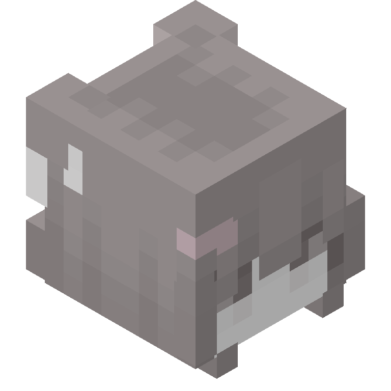 HEAD_ISO