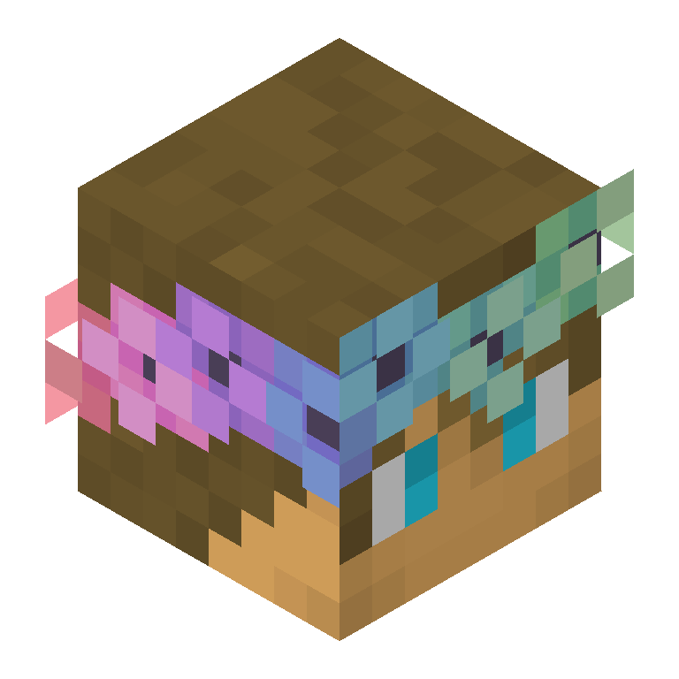 HEAD_ISO