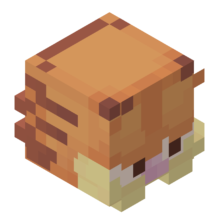 HEAD_ISO