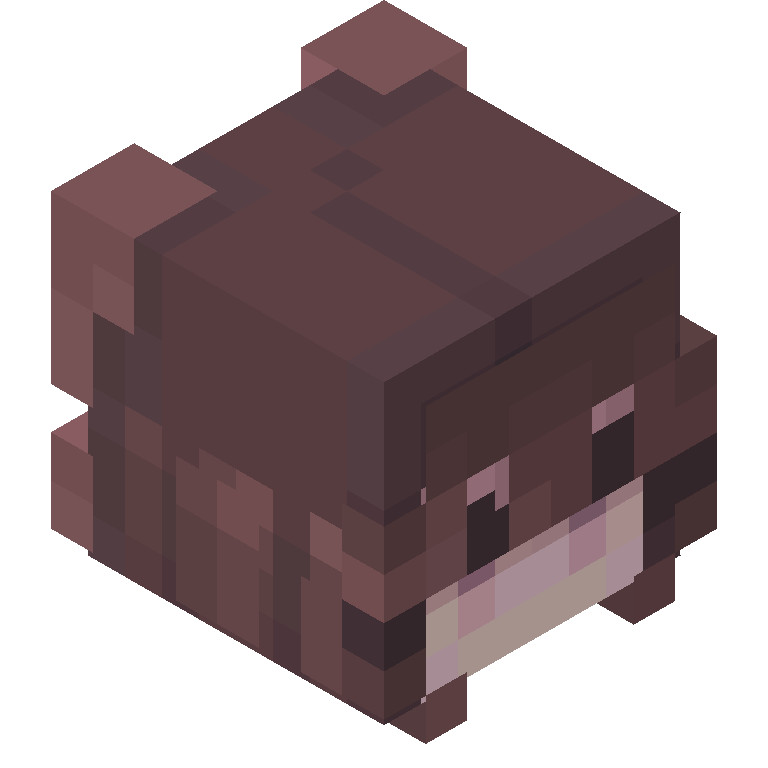 HEAD_ISO