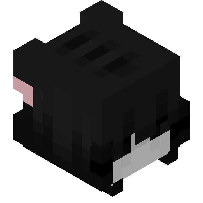 HEAD_ISO