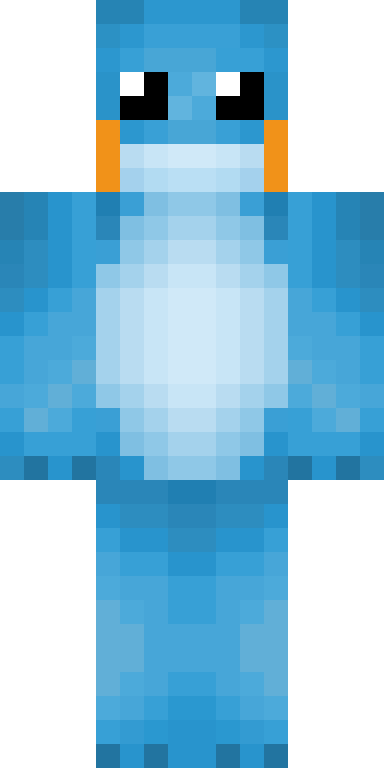 BODY