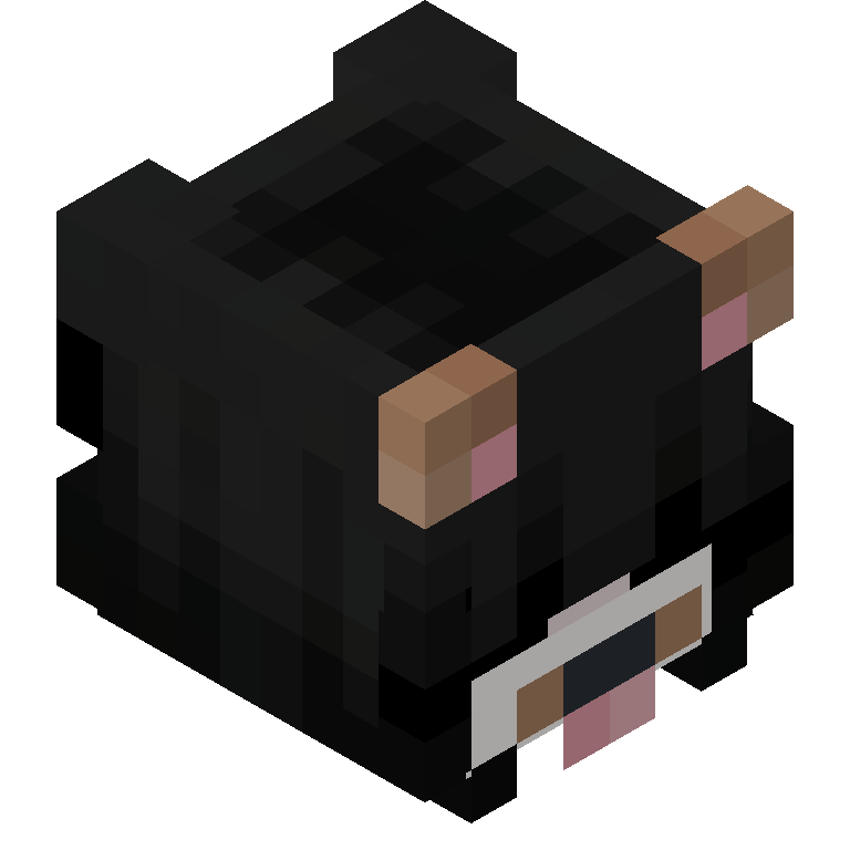 HEAD_ISO