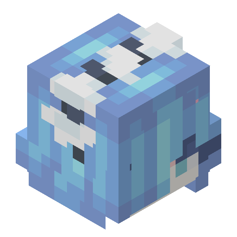 HEAD_ISO