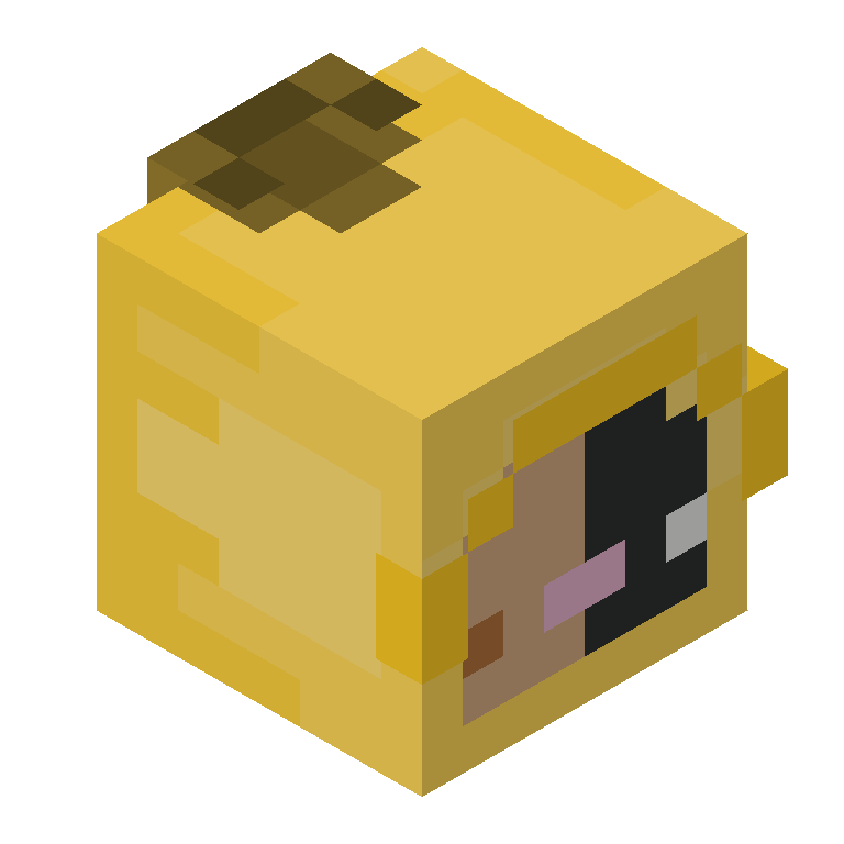 HEAD_ISO