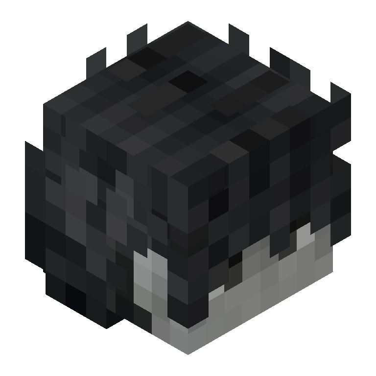 HEAD_ISO