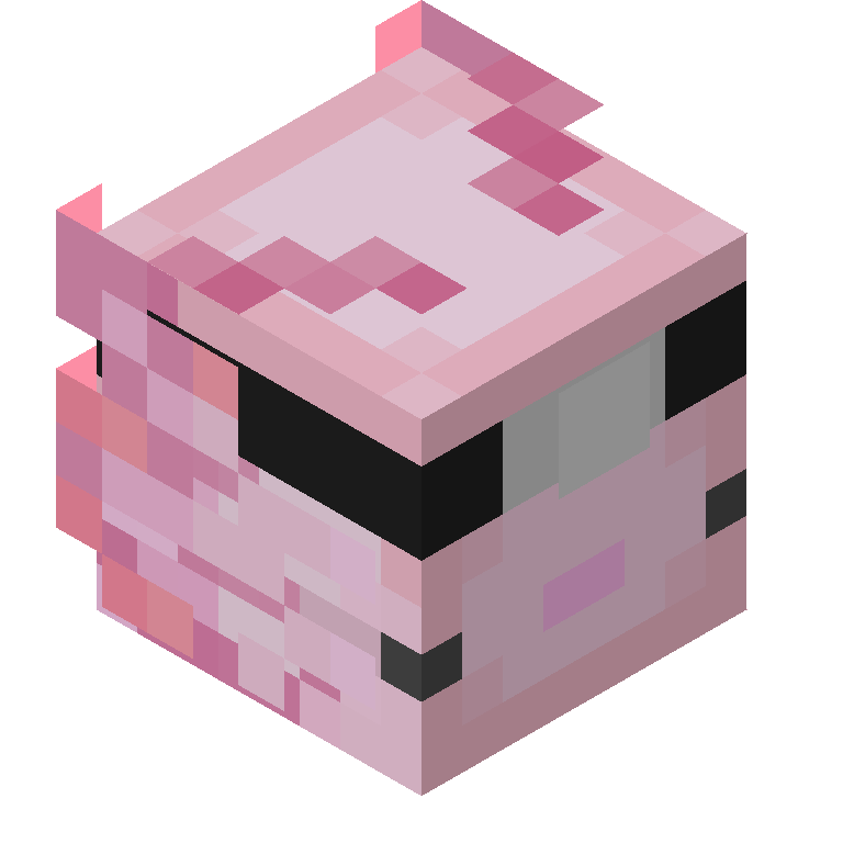 HEAD_ISO