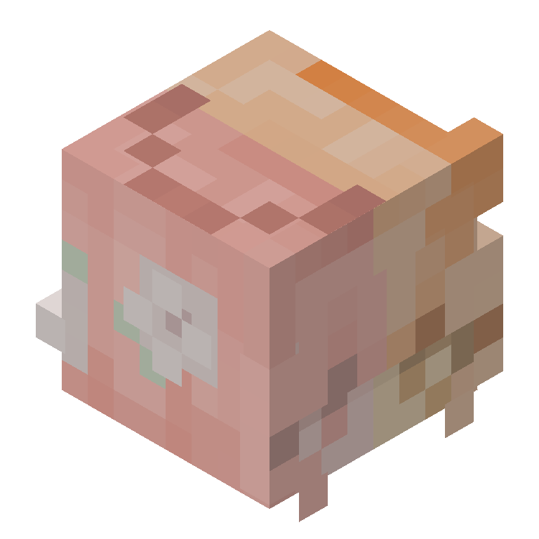 HEAD_ISO