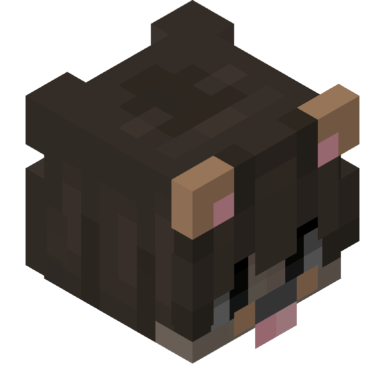 HEAD_ISO