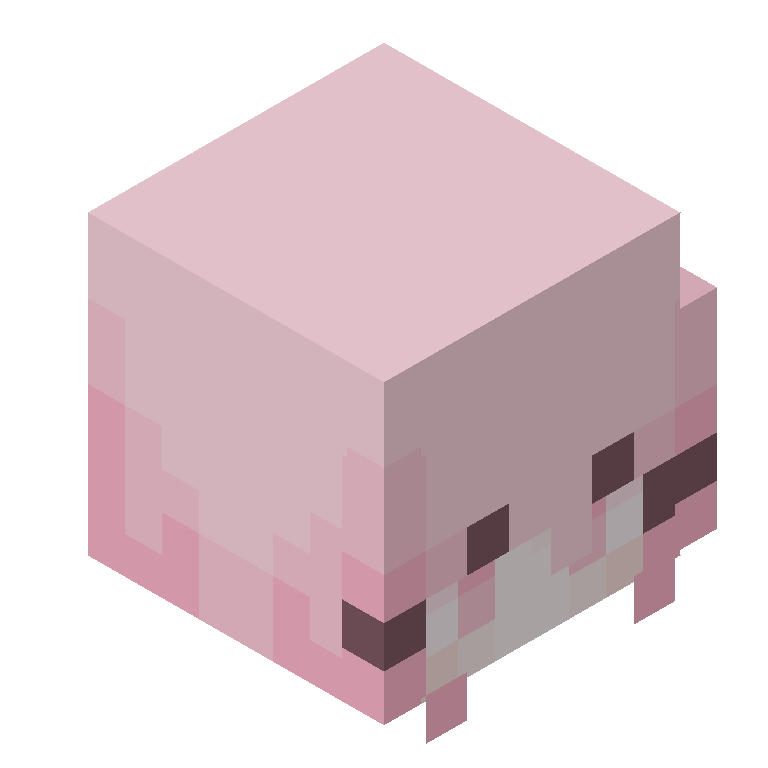 HEAD_ISO