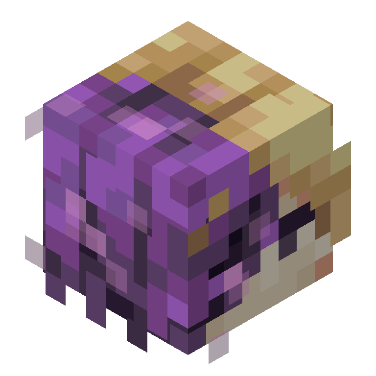 HEAD_ISO