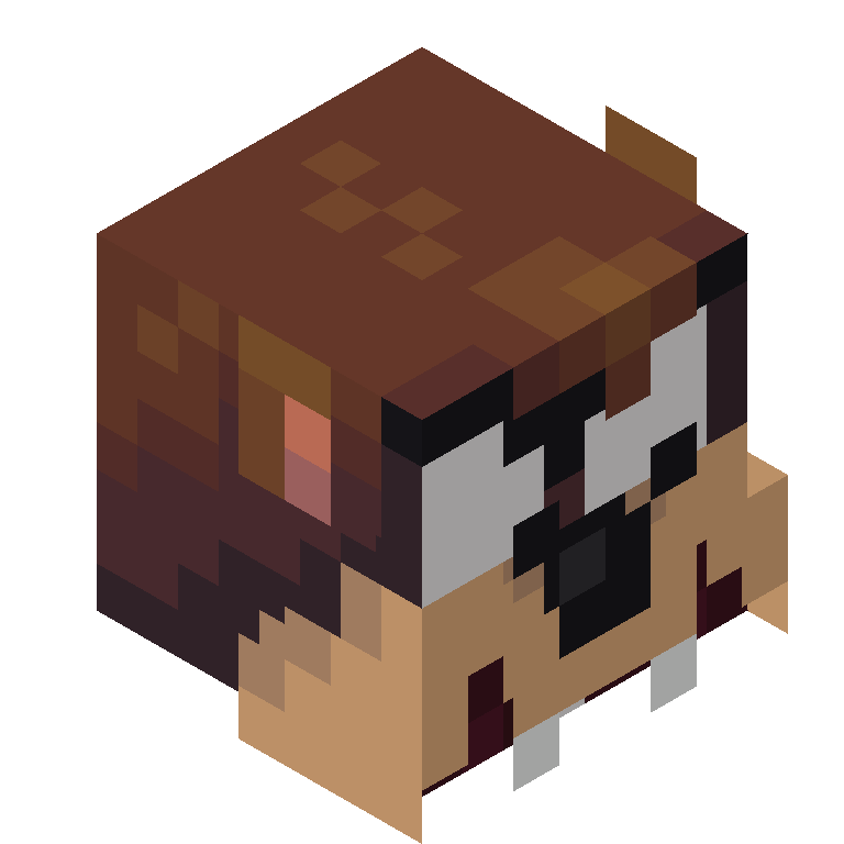 HEAD_ISO