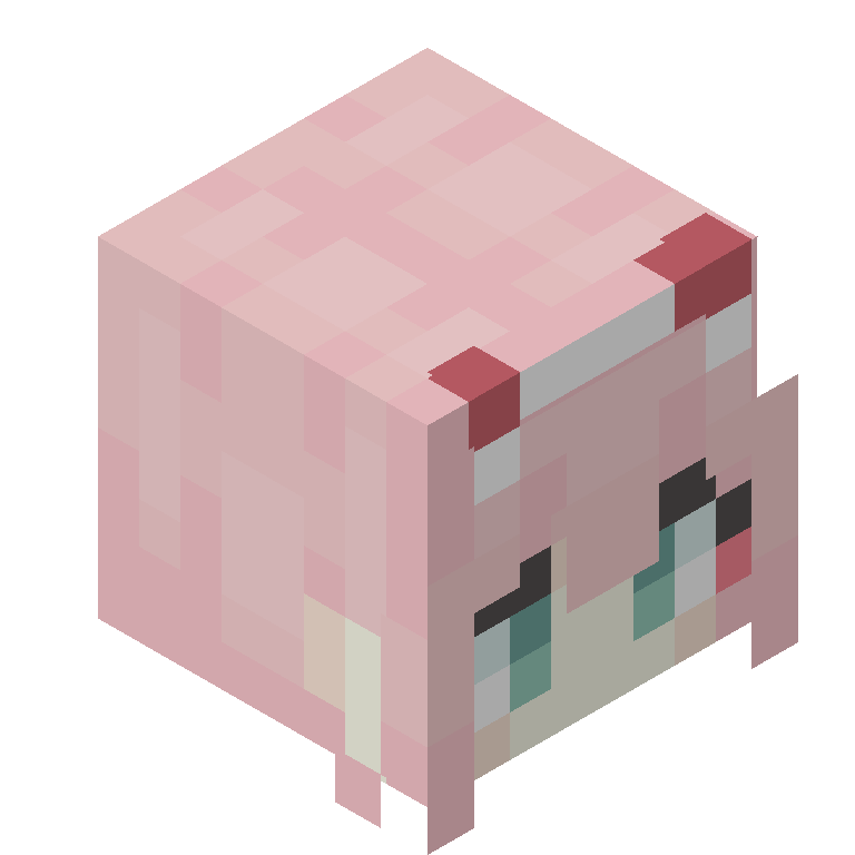 HEAD_ISO