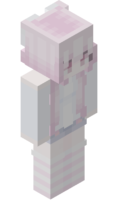 CodingMaster_ skin - FULLBODY_ISO_FRONT