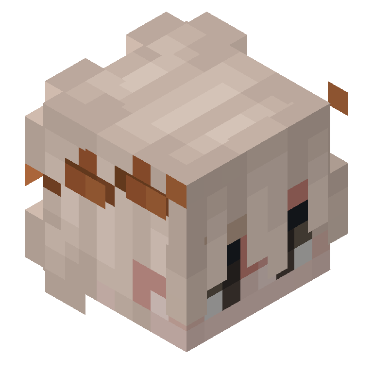 HEAD_ISO