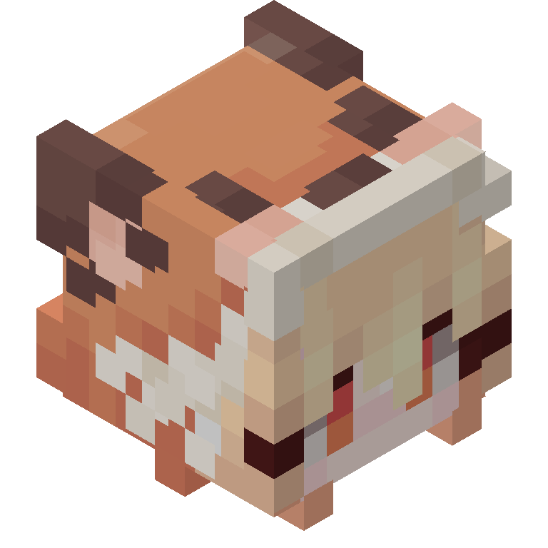 HEAD_ISO