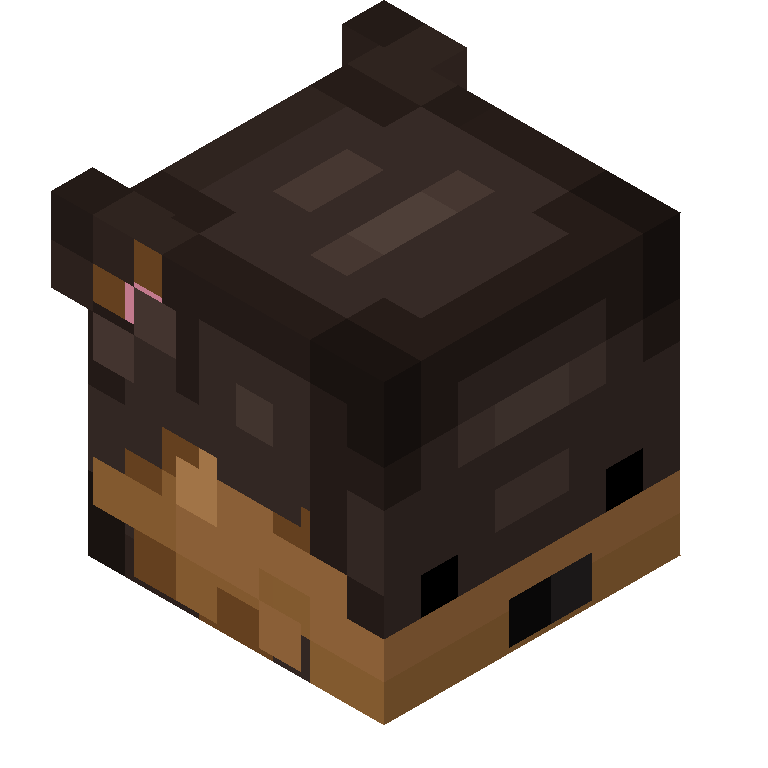 HEAD_ISO