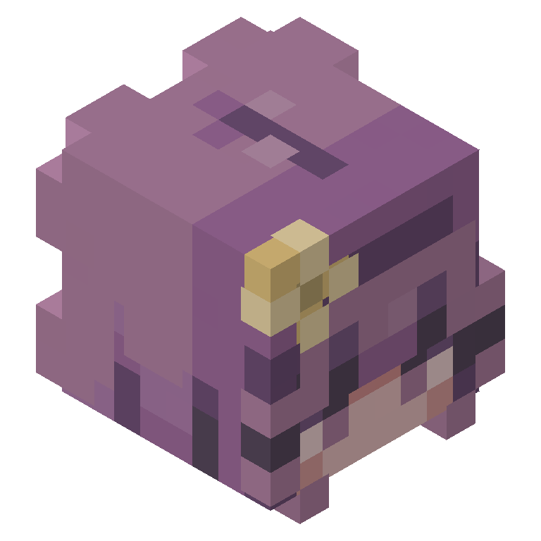 HEAD_ISO