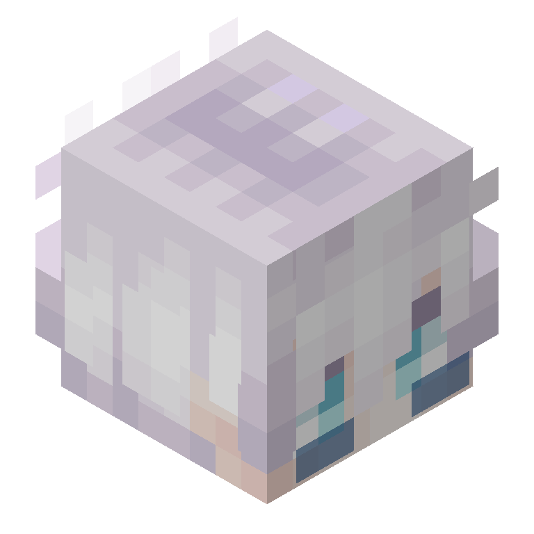 HEAD_ISO