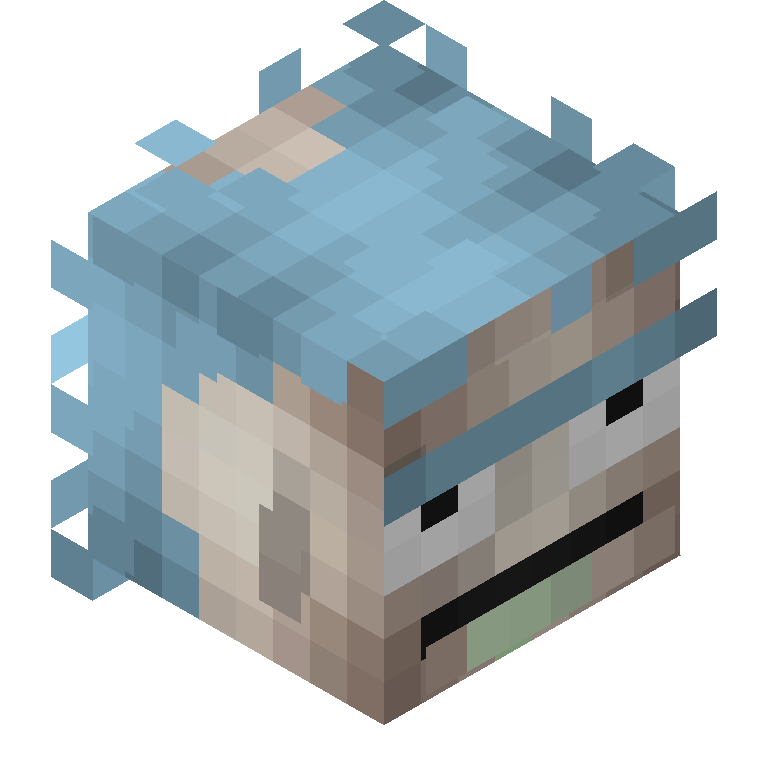 HEAD_ISO