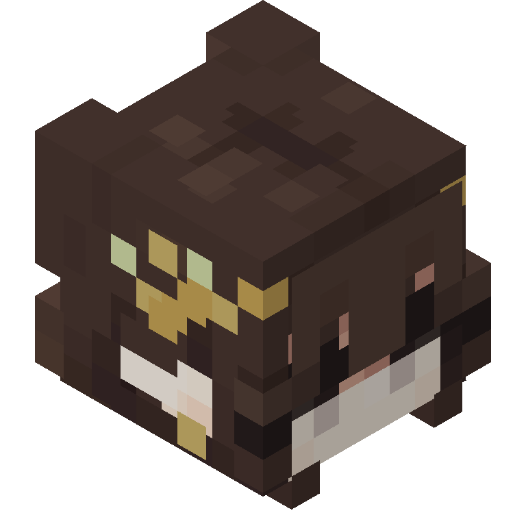 HEAD_ISO