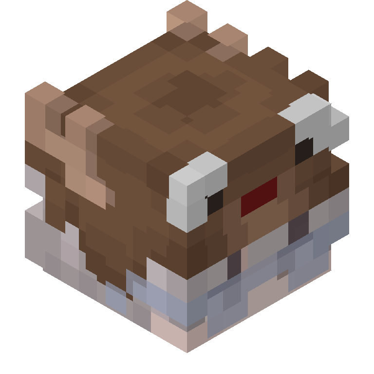 HEAD_ISO