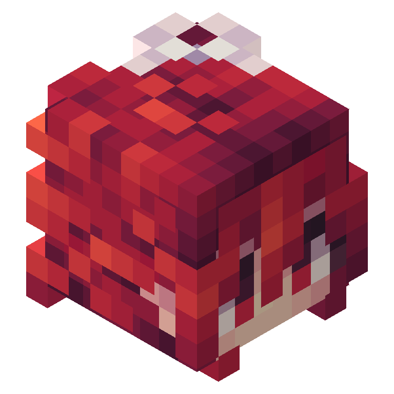HEAD_ISO