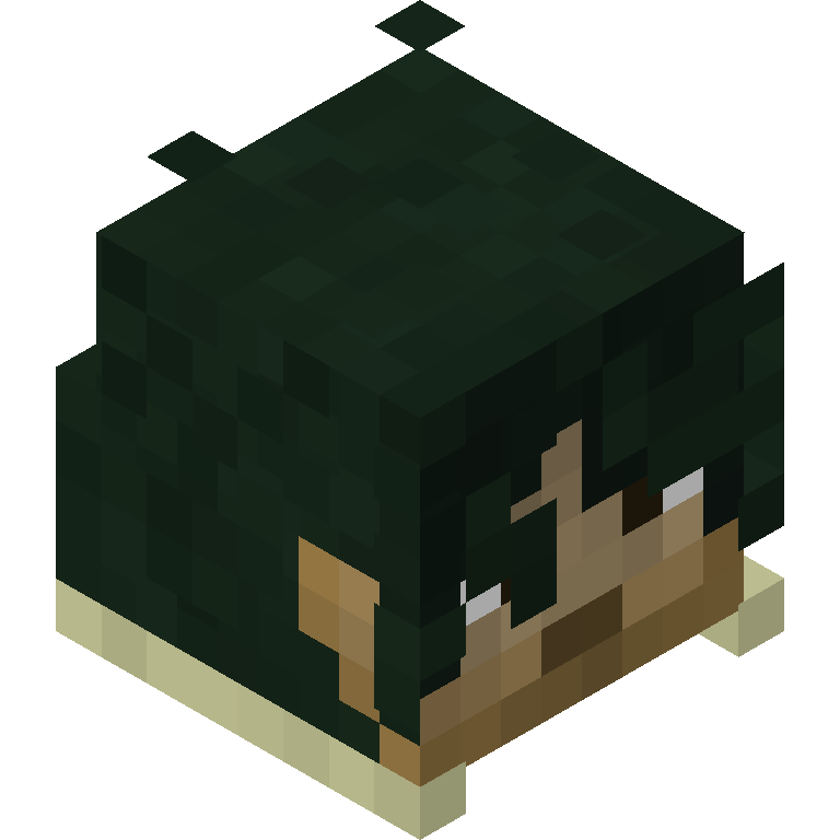 HEAD_ISO