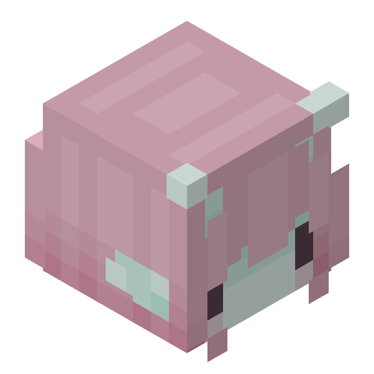 HEAD_ISO
