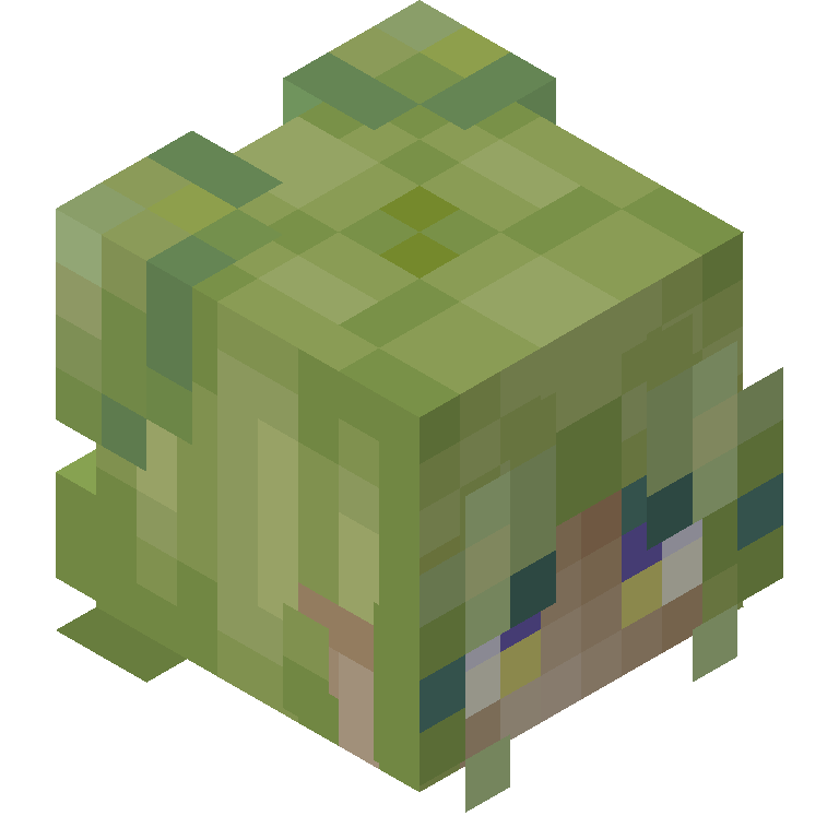 HEAD_ISO