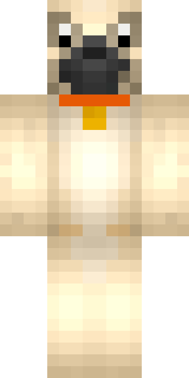 BODY