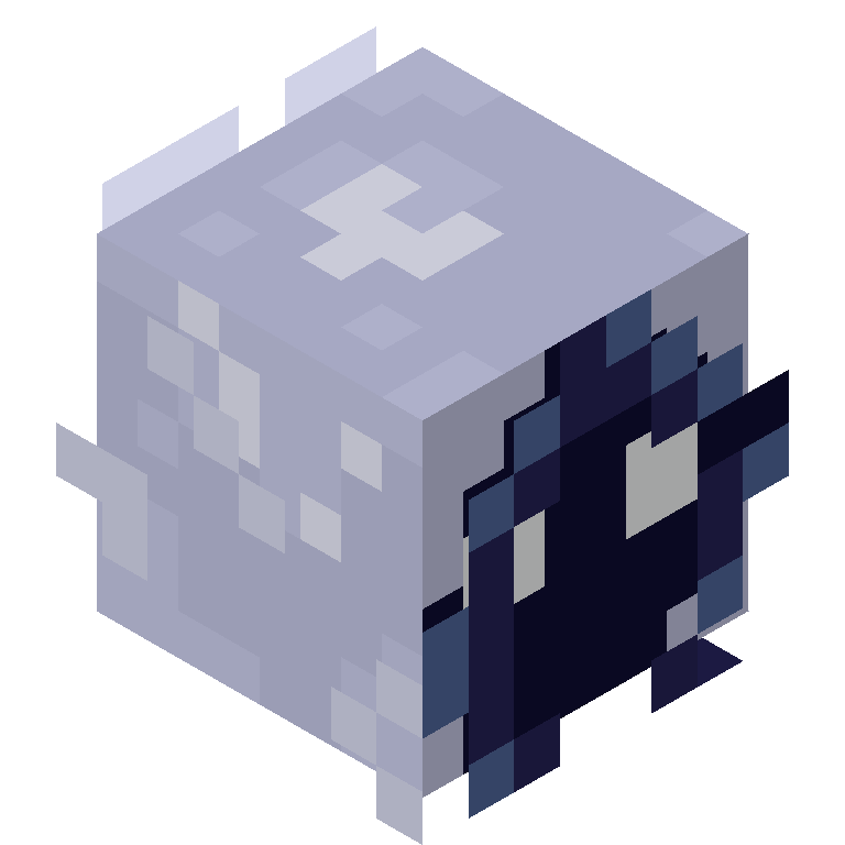 HEAD_ISO