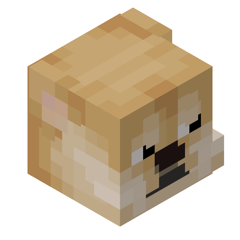 HEAD_ISO