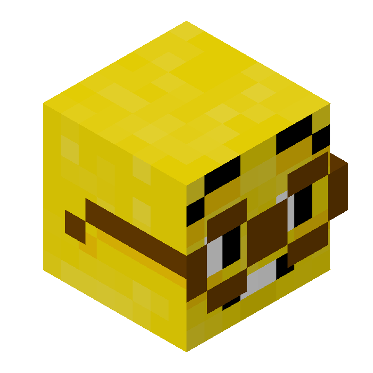HEAD_ISO