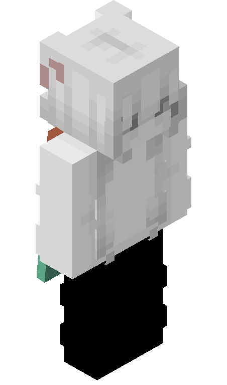 Dullnesss skin - FULLBODY_ISO_FRONT