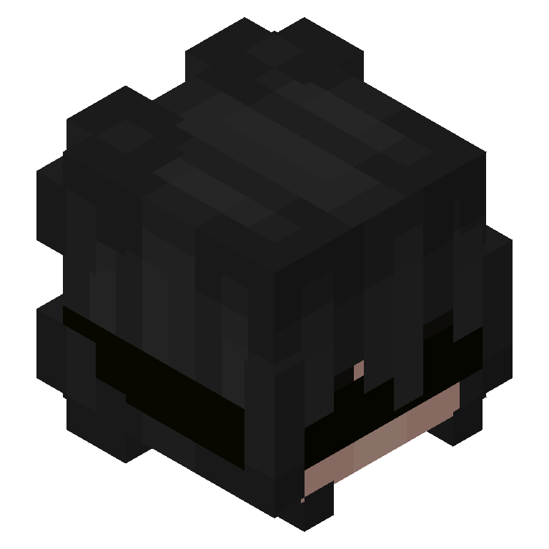 HEAD_ISO